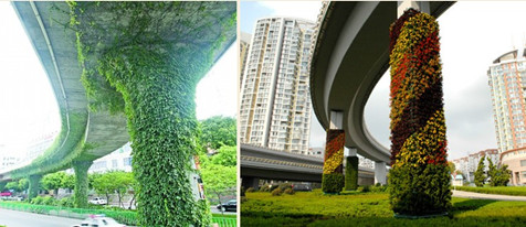 扶芳藤橋體綠化 扶芳藤橋體綠化